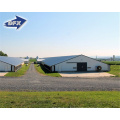 Automatic Prefabricated Steel Structure Poultry Farm Building Shed Chicken Broiler Commercial Chicken Houses